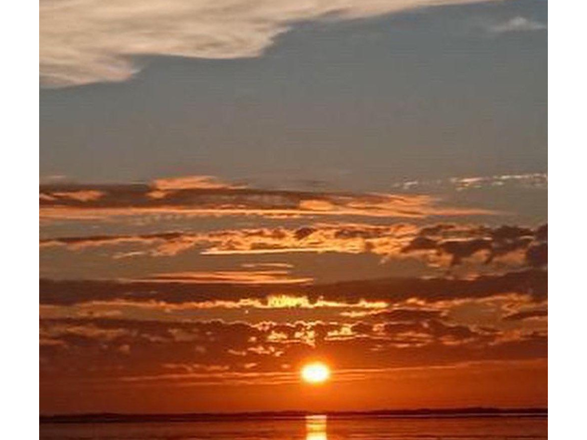 F598E327-3C50-4B54-A5D8-B148B97407D6